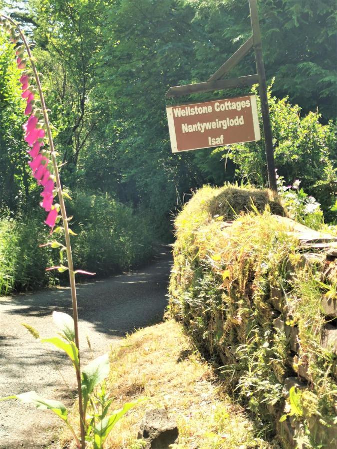 Wellstone Cottages - Coach House Llanfyrnach Экстерьер фото